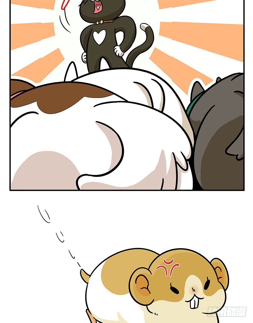 第49爪 狐假虎威-第55话