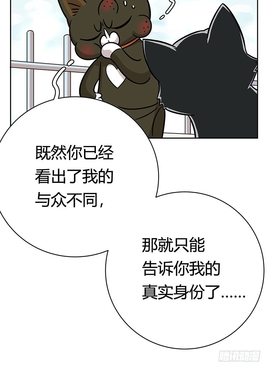 第49爪 狐假虎威-第55话