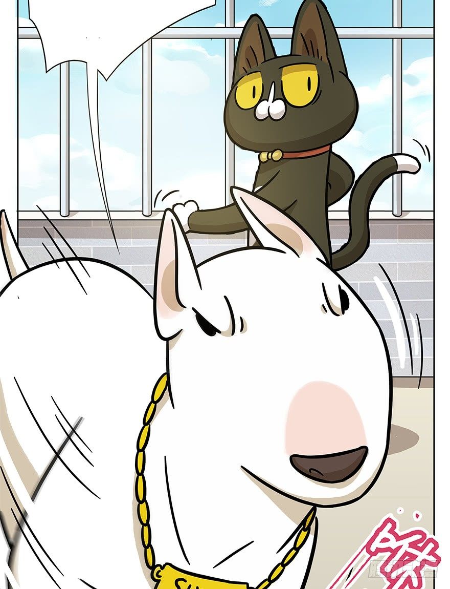 第51爪 送礼（下）-第57话