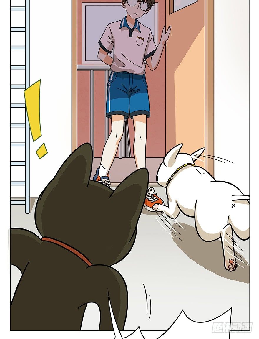 第51爪 送礼（下）-第57话