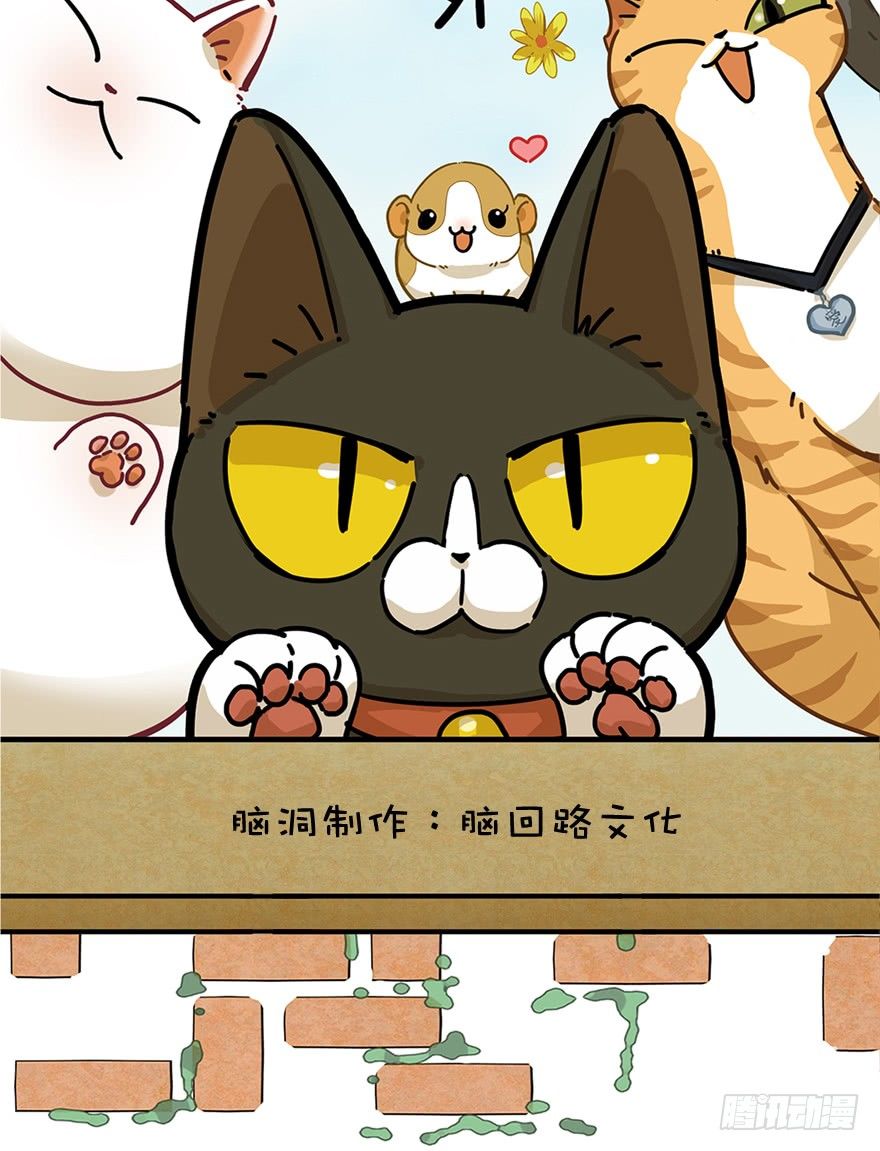 第51爪 送礼（下）-第57话