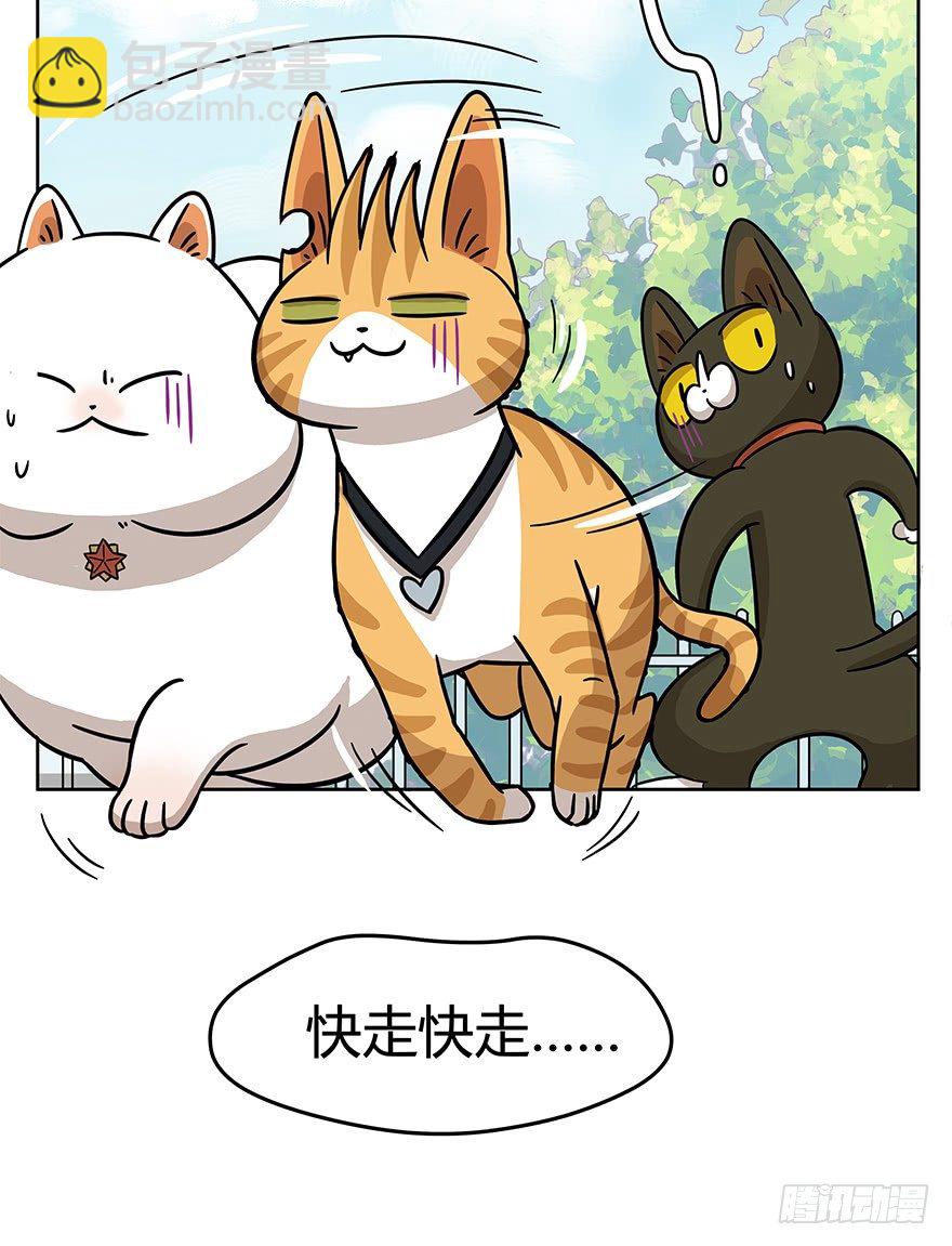 第51爪 送礼（下）-第57话