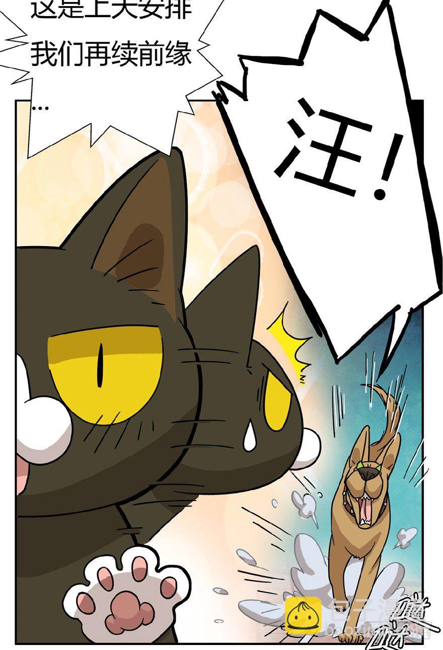 第7爪 一生所爱-第7话