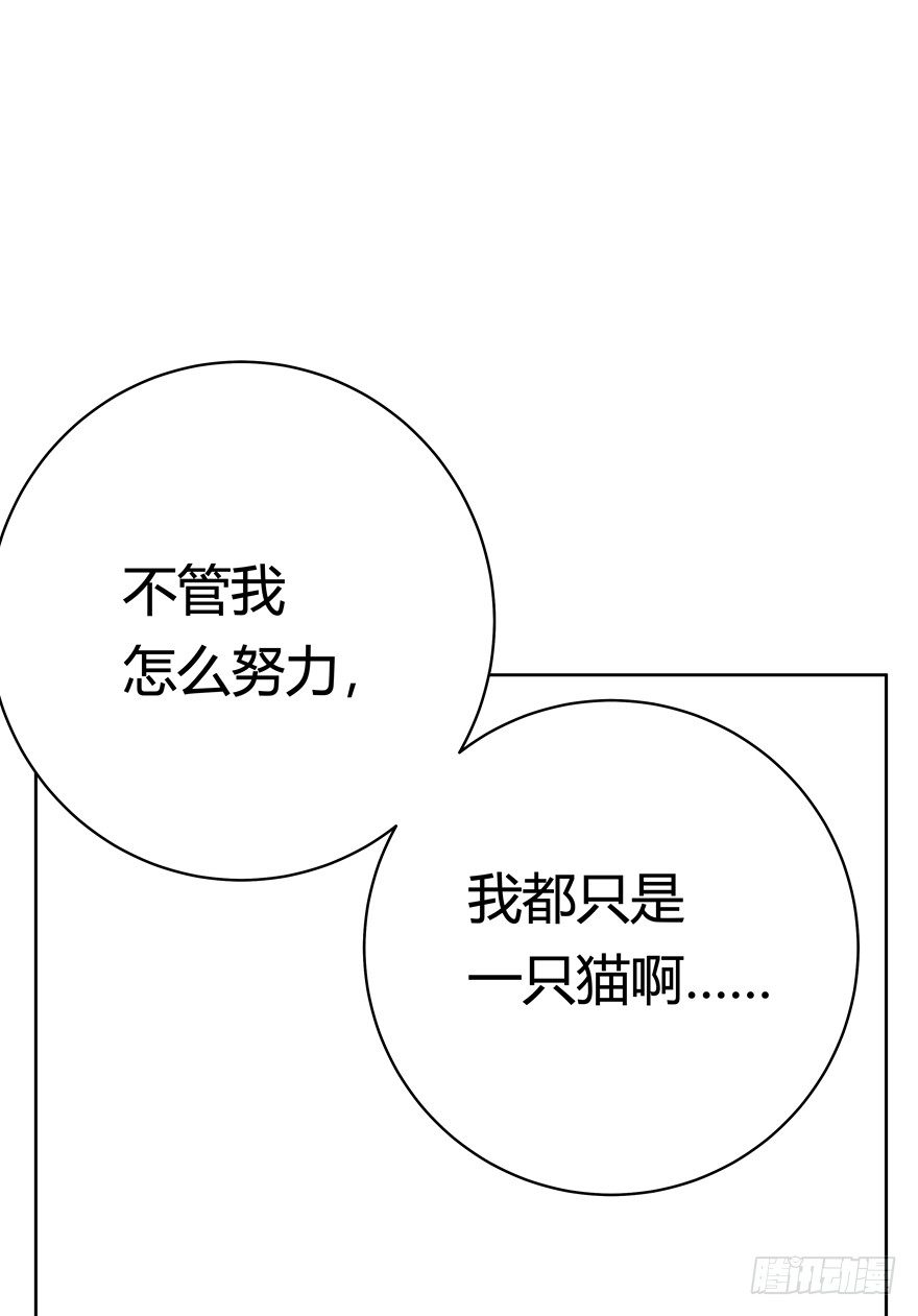 回到过去变成猫外传 - 第55爪 不能失去（下） - 1