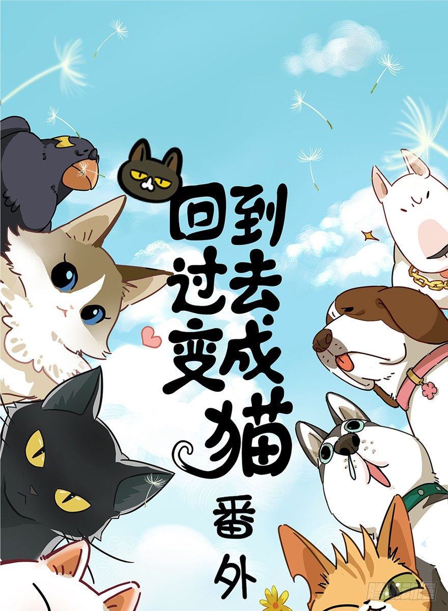 回到过去变成猫外传 - 第57爪 小爷我是人 - 1