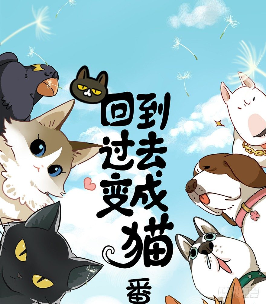 回到过去变成猫外传 - 第61爪 “虐猫”照骗（上） - 1