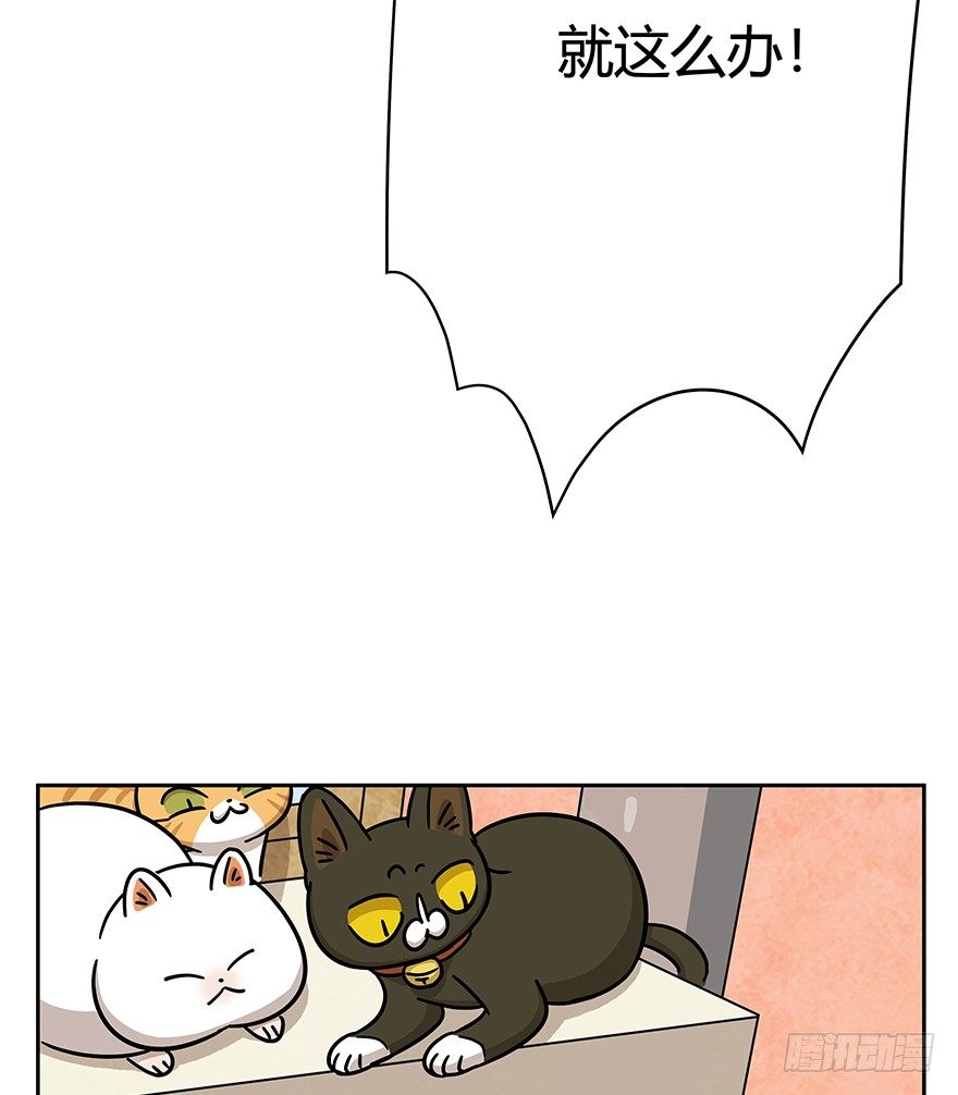 第61爪 &ldquo;虐猫&rdquo;照骗（上）-第67话