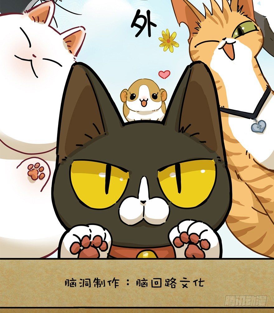 第61爪 &ldquo;虐猫&rdquo;照骗（上）-第67话