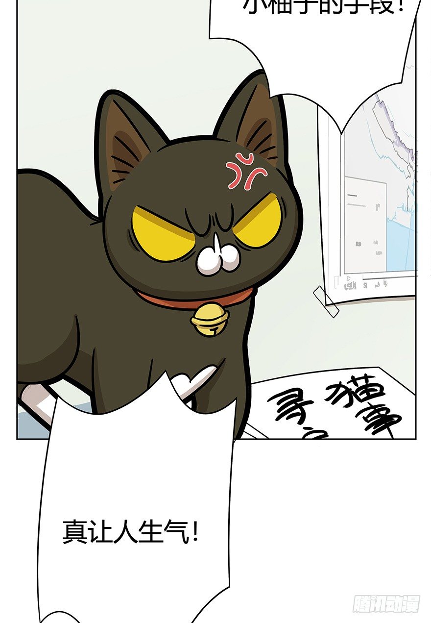 回到过去变成猫外传 - 第61爪 “虐猫”照骗（上） - 6