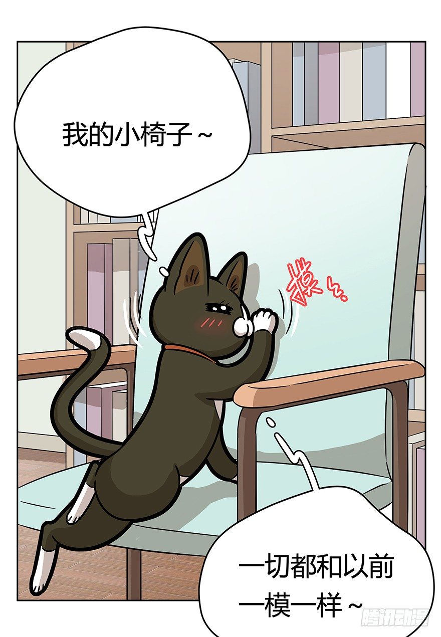 第61爪 &ldquo;虐猫&rdquo;照骗（上）-第67话