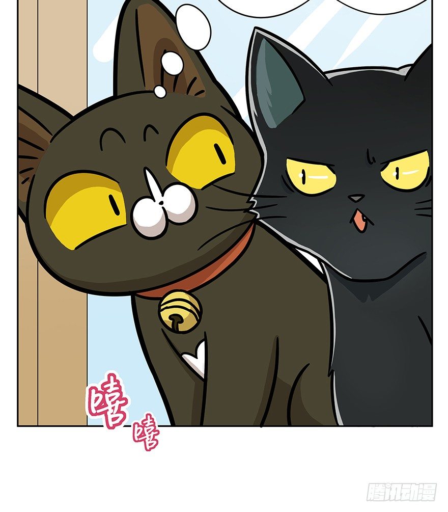 第61爪 &ldquo;虐猫&rdquo;照骗（上）-第67话