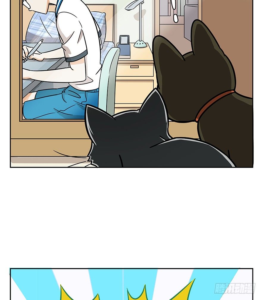 第61爪 &ldquo;虐猫&rdquo;照骗（上）-第67话