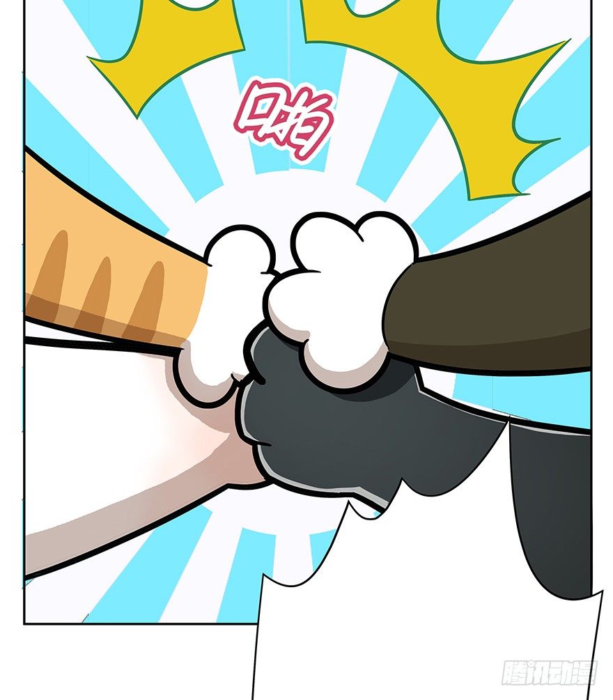 第61爪 &ldquo;虐猫&rdquo;照骗（上）-第67话