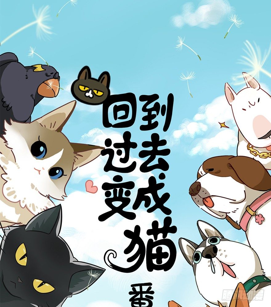 回到过去变成猫外传 - 第63爪 众猫拾材火焰高(1/2) - 1