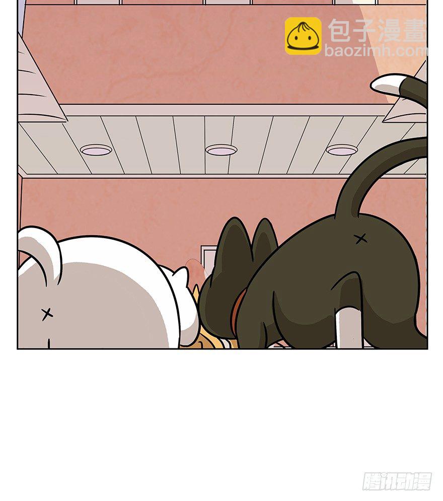 第63爪 众猫拾材火焰高(1/2)-第69话