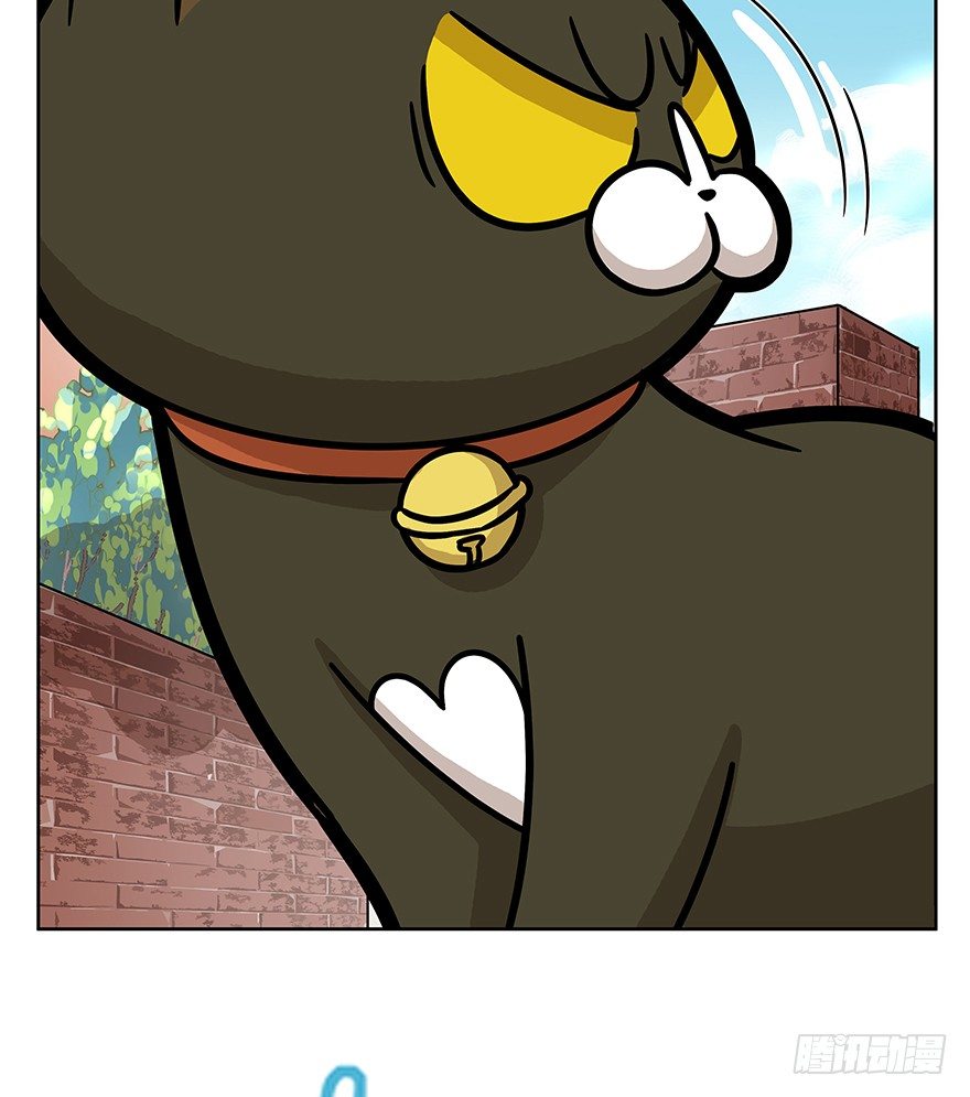 第63爪 众猫拾材火焰高(1/2)-第69话