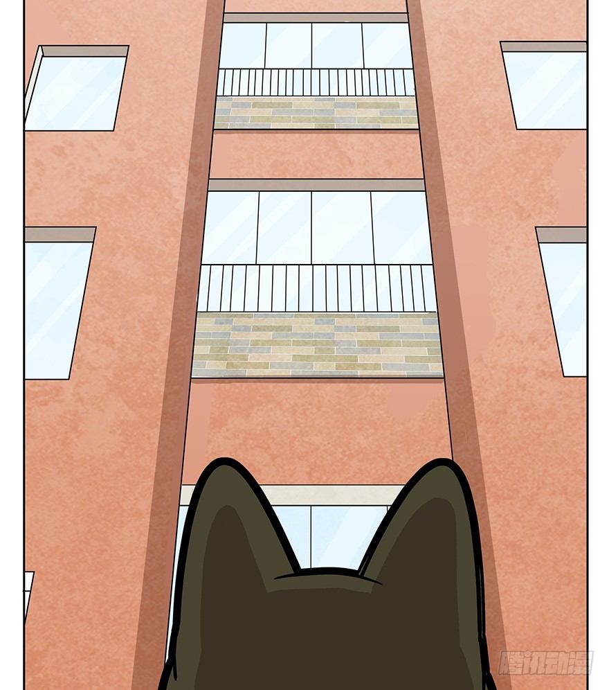 第63爪 众猫拾材火焰高(1/2)-第69话