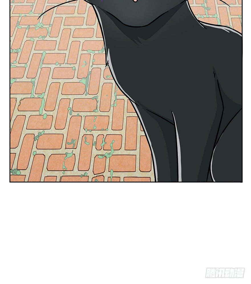 第63爪 众猫拾材火焰高(1/2)-第69话