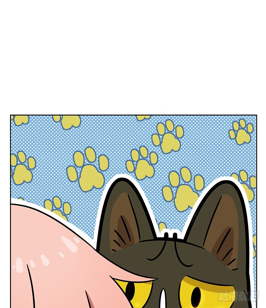 第63爪 众猫拾材火焰高(1/2)-第69话