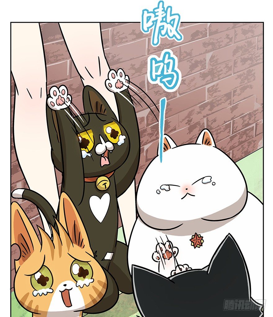 第63爪 众猫拾材火焰高(1/2)-第69话