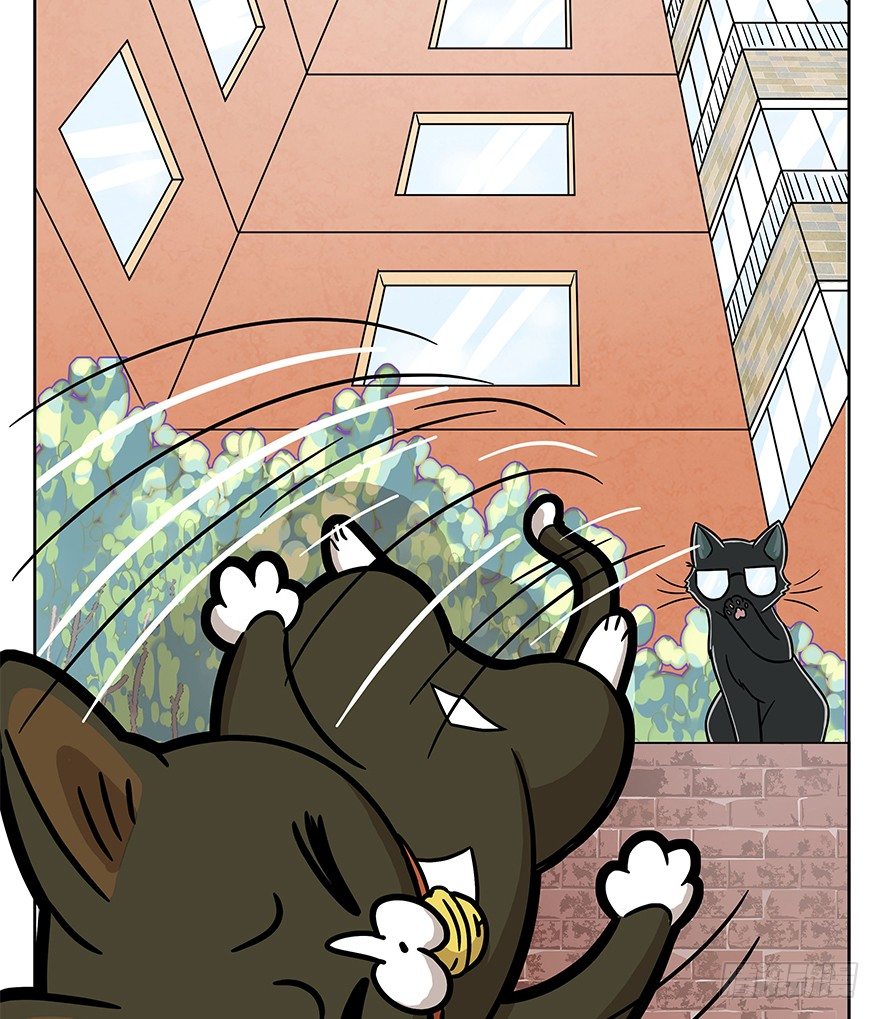 第63爪 众猫拾材火焰高(1/2)-第69话