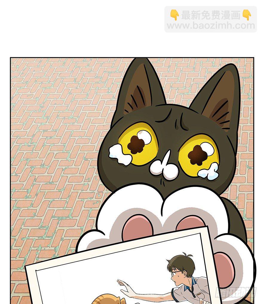 第63爪 众猫拾材火焰高(1/2)-第69话