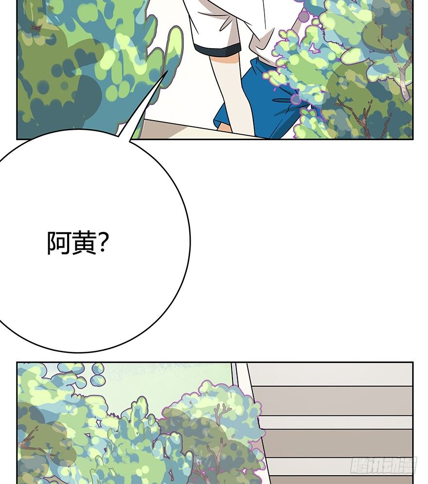 第63爪 众猫拾材火焰高(1/2)-第69话