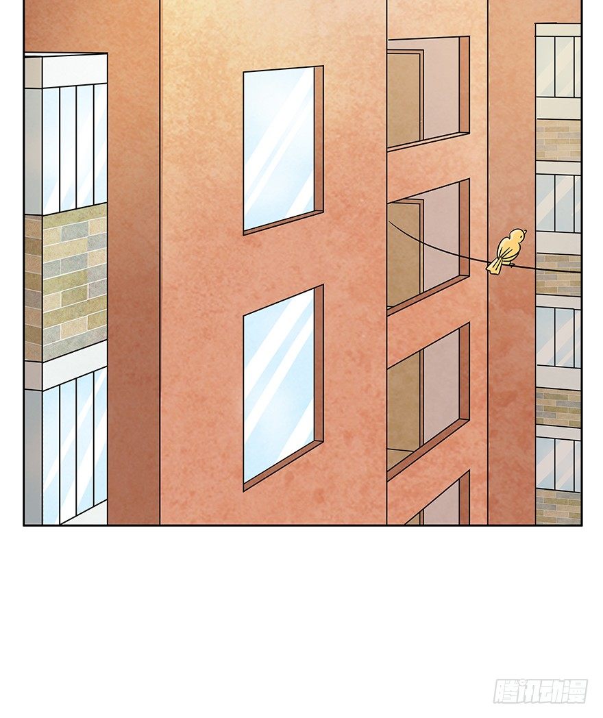 第65爪 真的胜利了吗？（下）-第71话