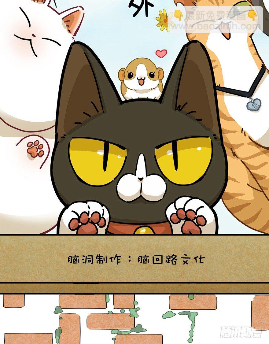 第67爪 &ldquo;和平&rdquo;协议（上）-第73话