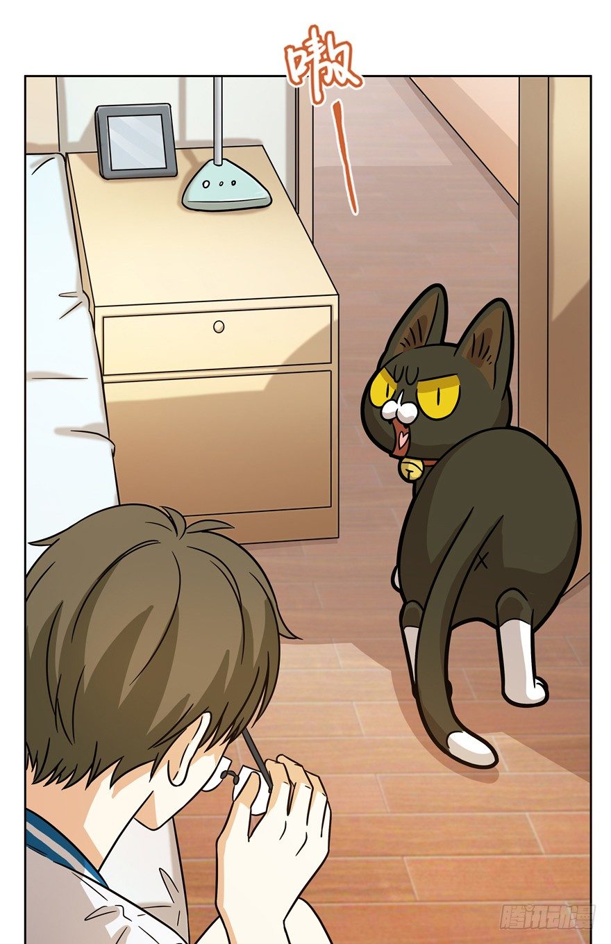 第67爪 &ldquo;和平&rdquo;协议（上）-第73话