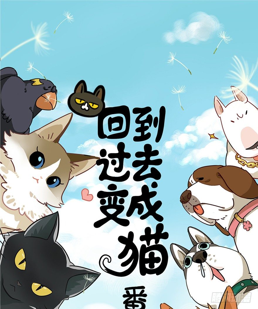 回到过去变成猫外传 - 第71爪 “小天使”焦爸（下） - 1