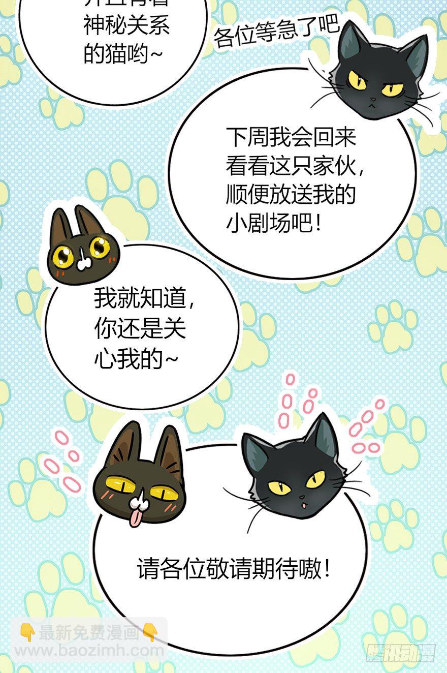 回到过去变成猫外传 - 第9爪 起名真难 - 3