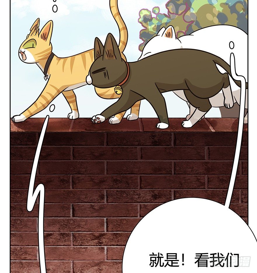 第83爪 &ldquo;复合大师&rdquo;黑呦呦-第89话