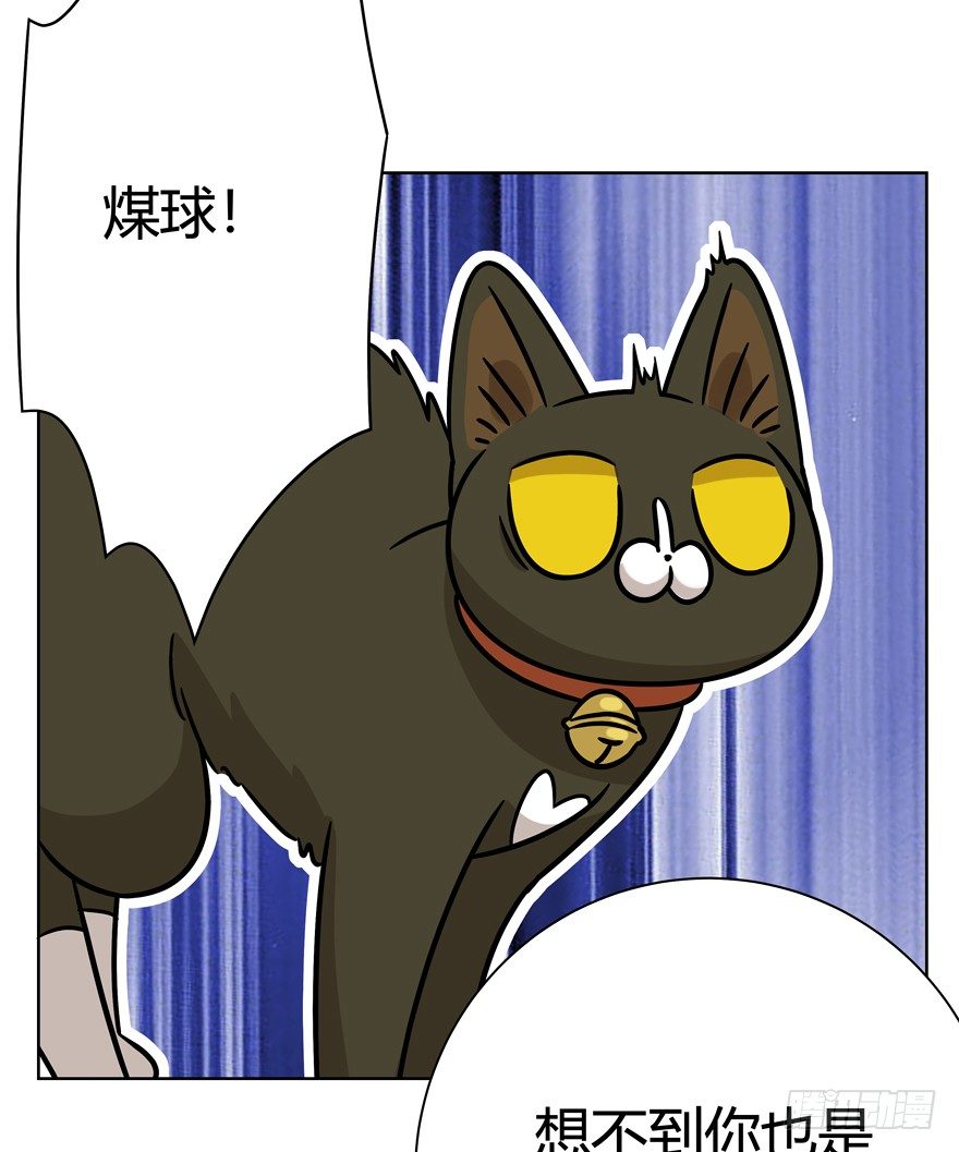 第91爪 翻脸不认猫（下）-第97话