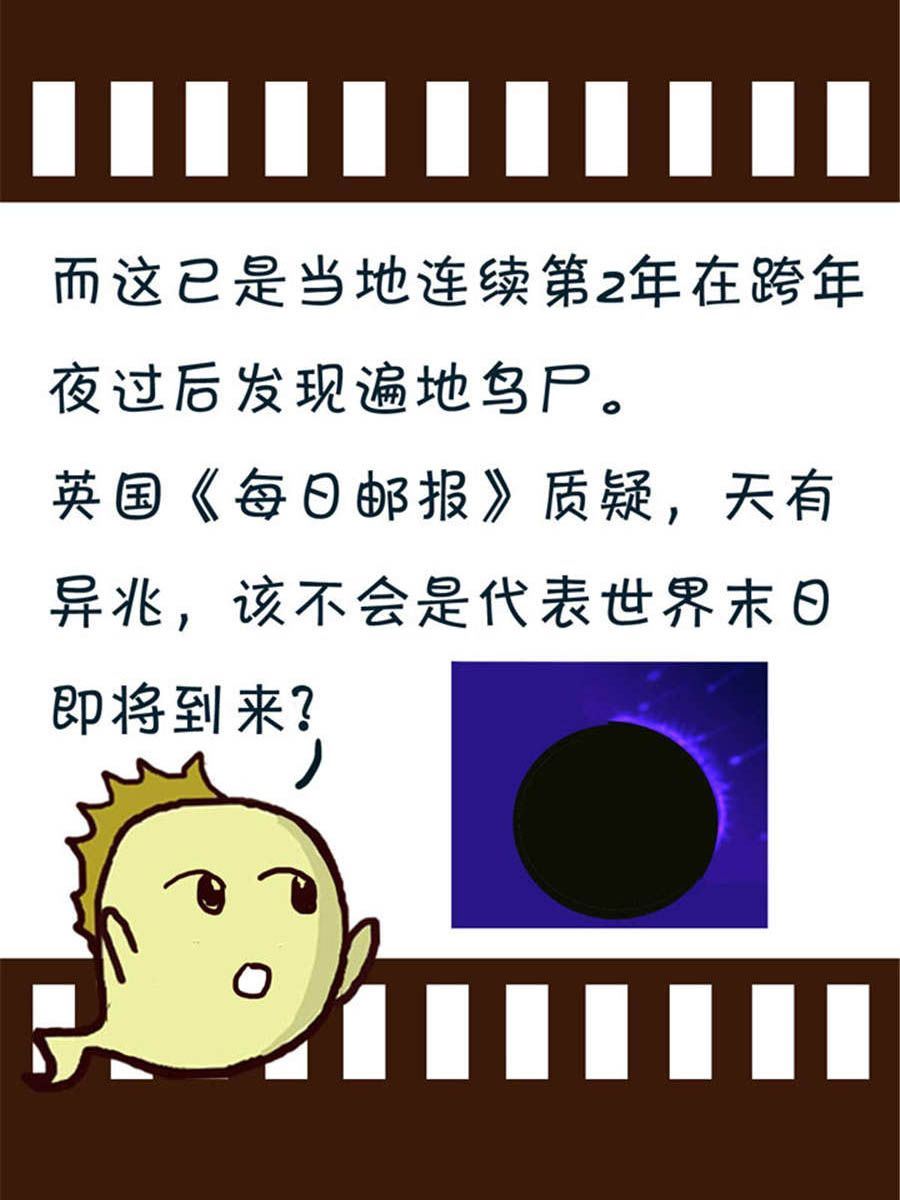 回顧2012迎向2013 - 回顧2012迎向2013 第1集 - 4