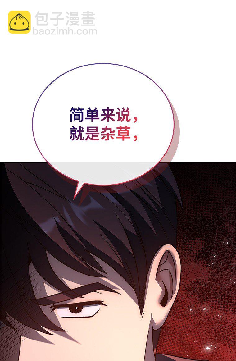 029 瘟疫魔女(1/3)-第29话