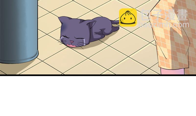 第75话 猫少女(1/2)-第75话