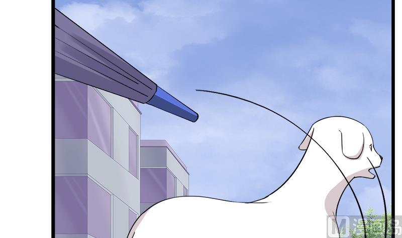 第75话 猫少女(1/2)-第75话