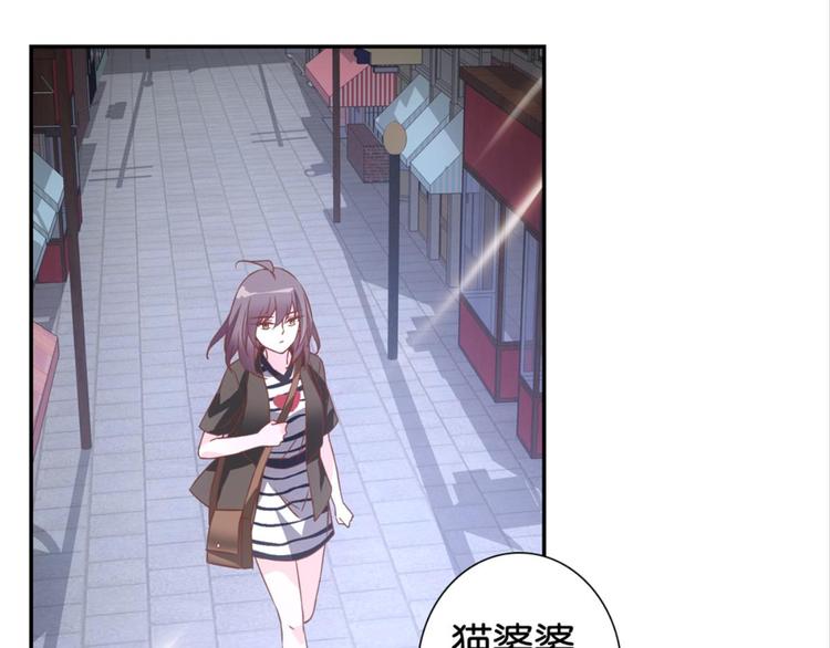 第31话：猫雀之争&mdash;&mdash;寻猫婆婆(1/2)-第31话
