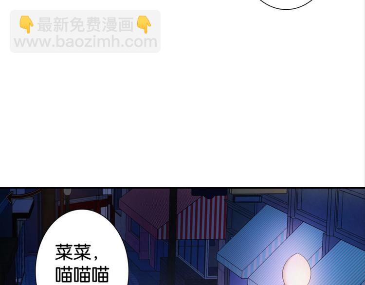 第31话：猫雀之争&mdash;&mdash;寻猫婆婆(1/2)-第31话