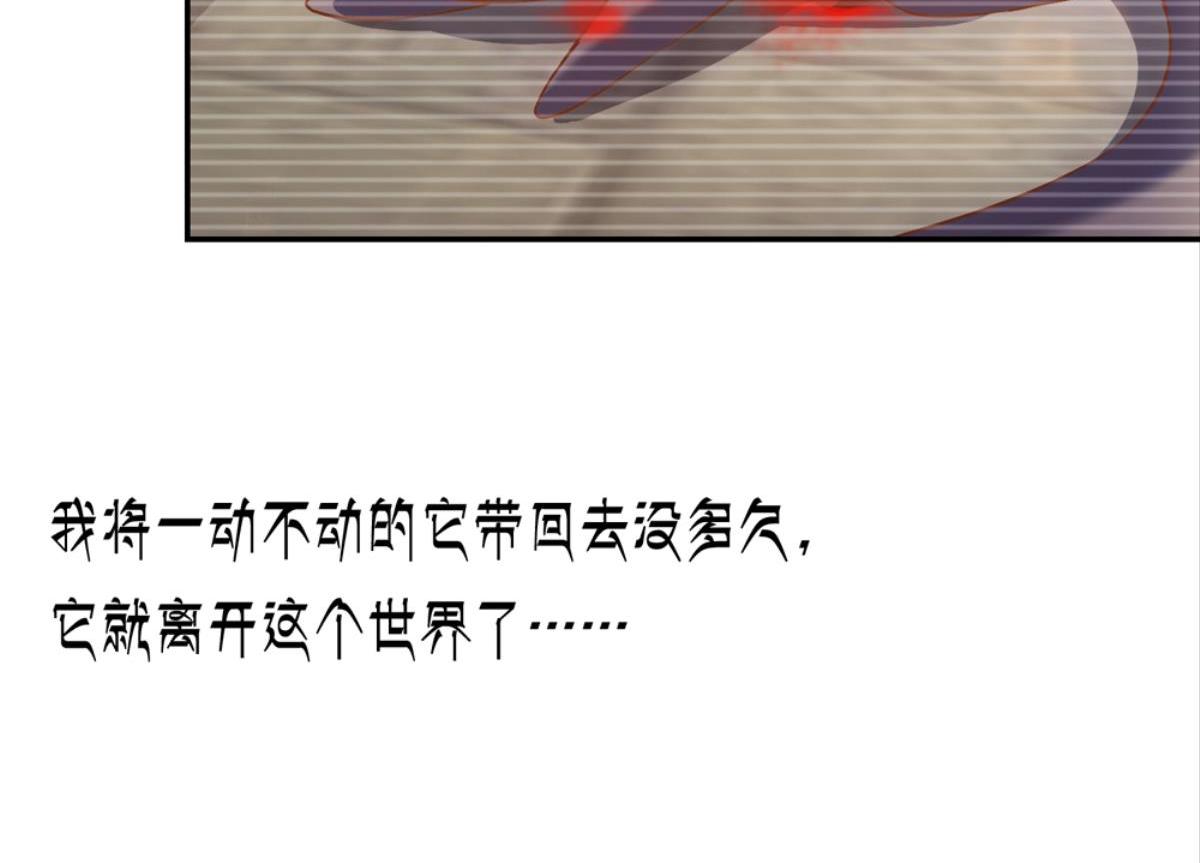 第37话：猫雀之争-第37话