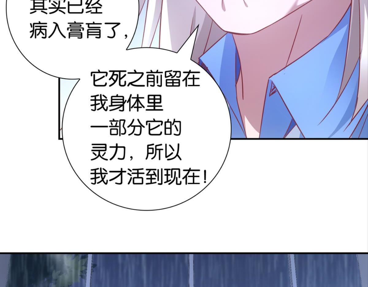 第37话：猫雀之争-第37话