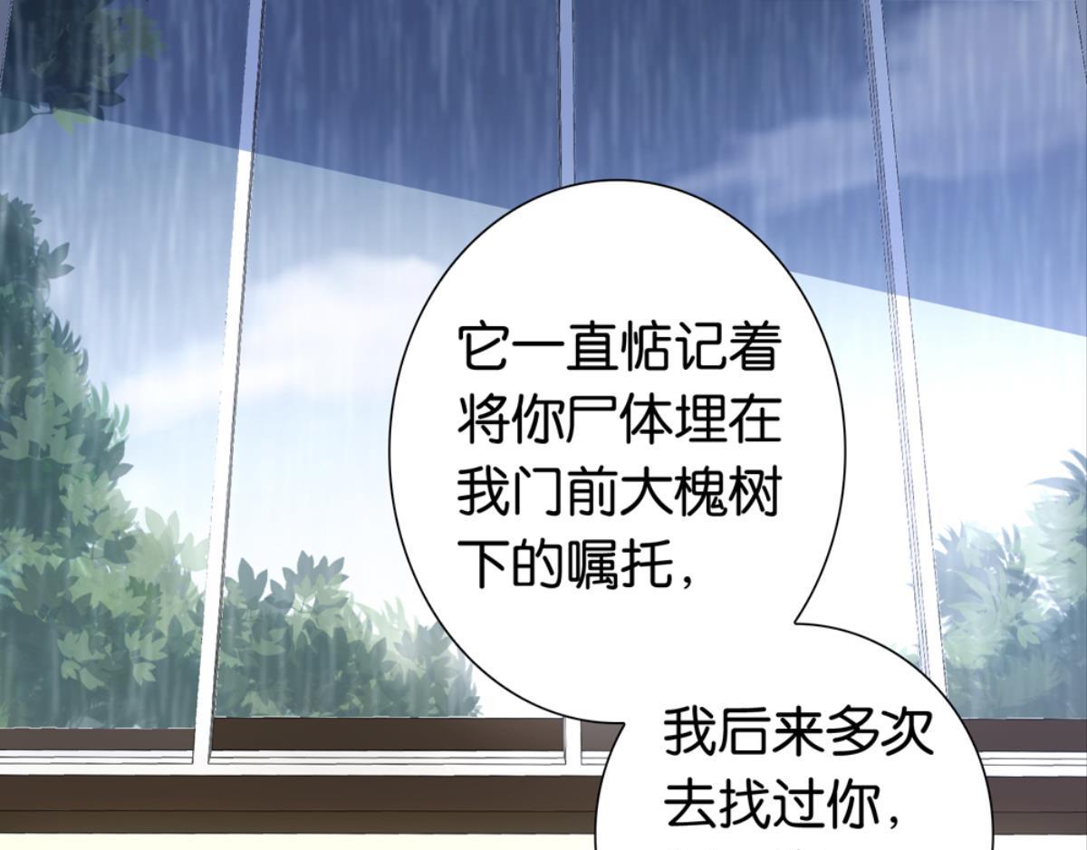 第37话：猫雀之争-第37话