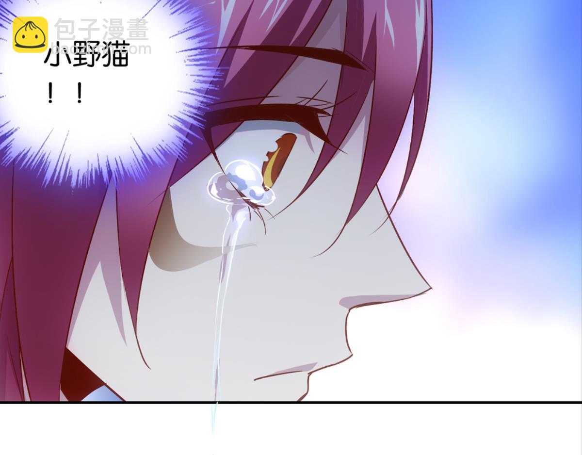 第37话：猫雀之争-第37话