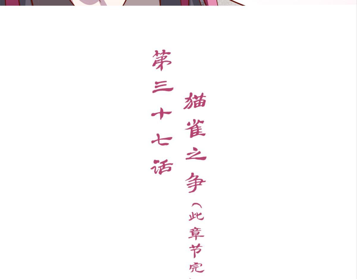 第37话：猫雀之争-第37话