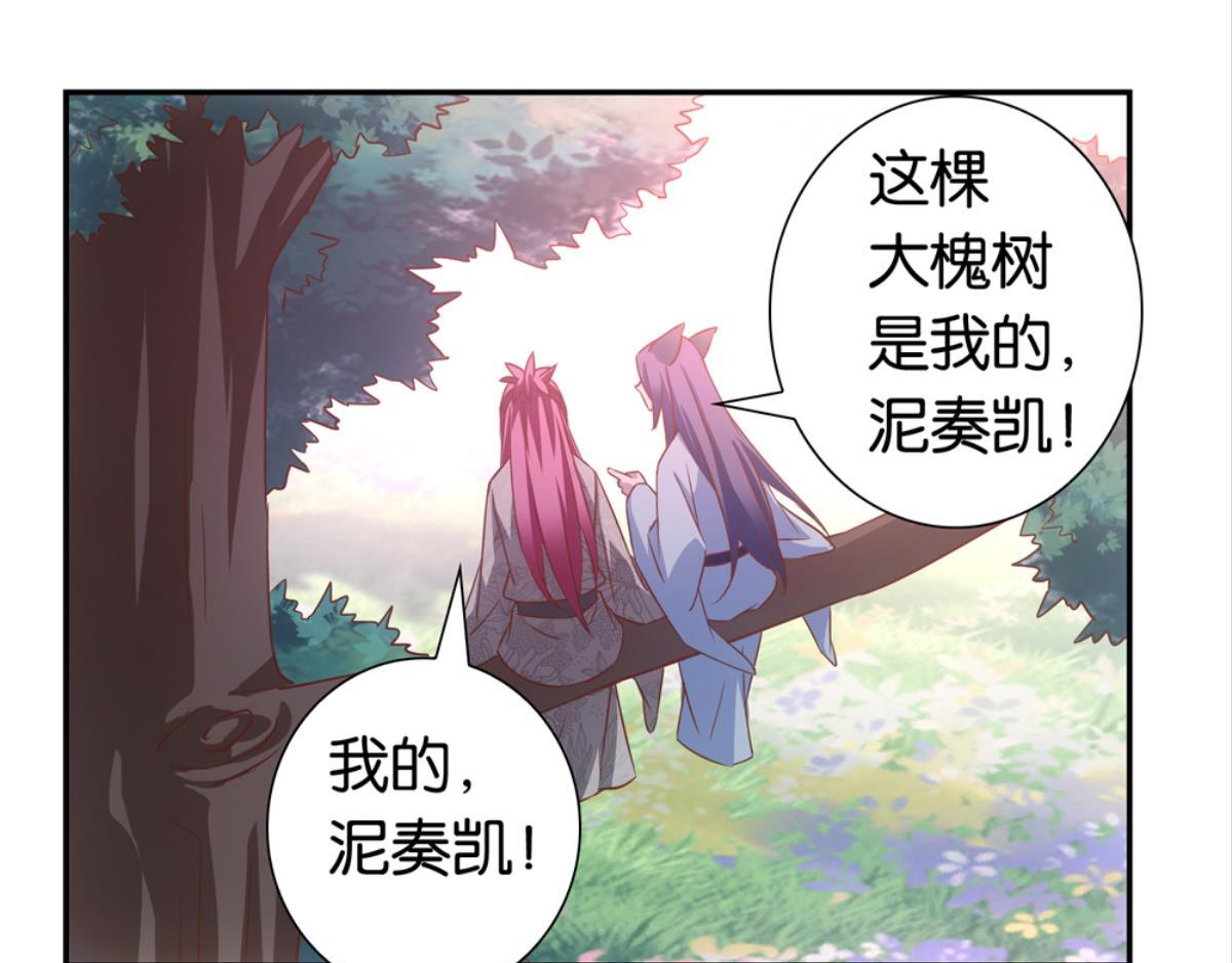 第37话：猫雀之争-第37话