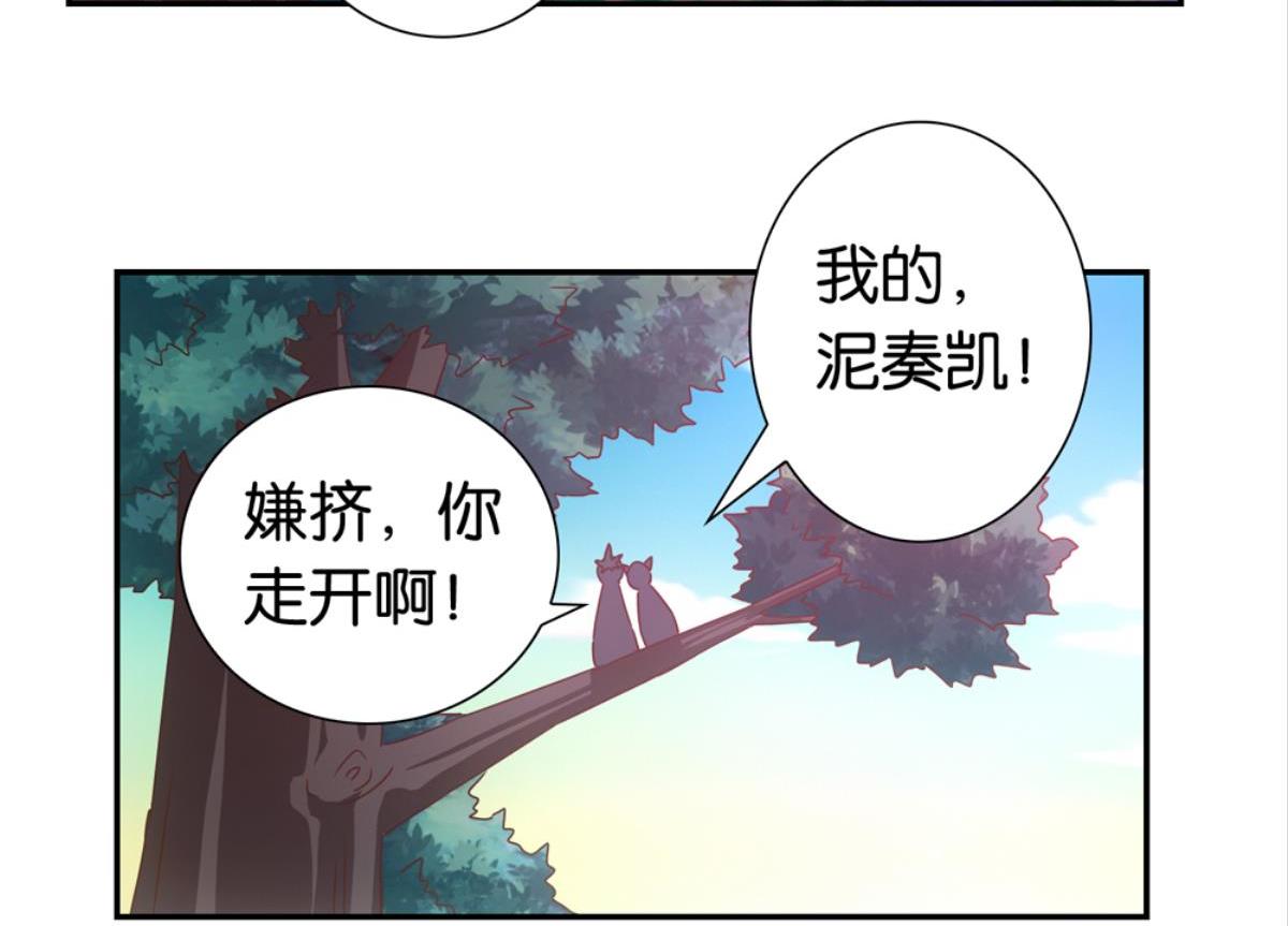 第37话：猫雀之争-第37话