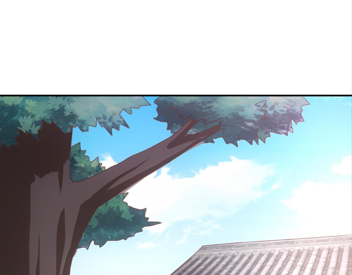 第37话：猫雀之争-第37话