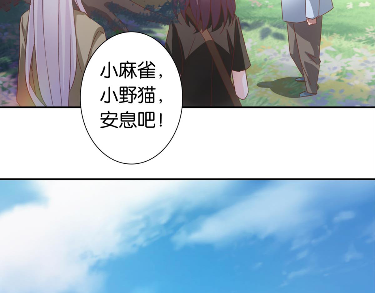 第37话：猫雀之争-第37话