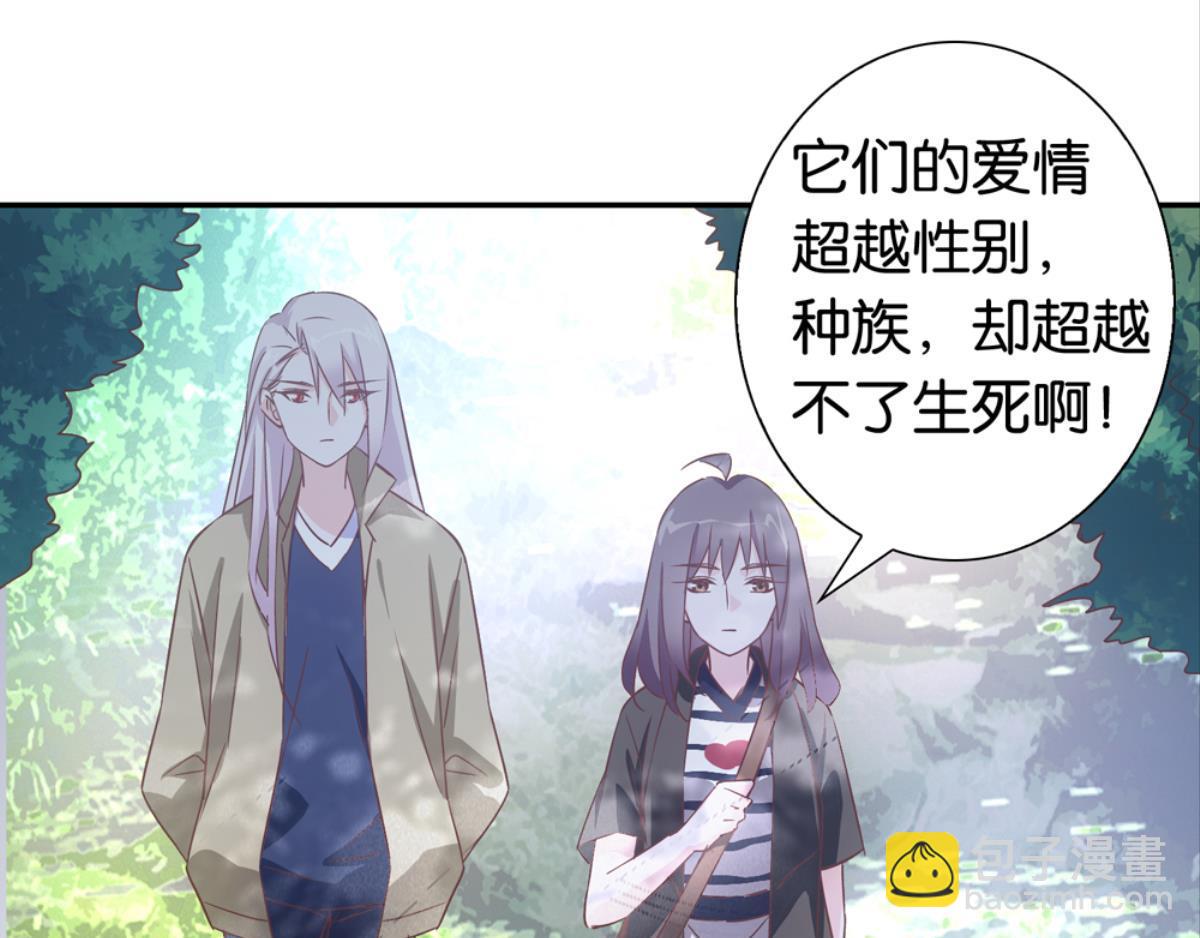 第37话：猫雀之争-第37话